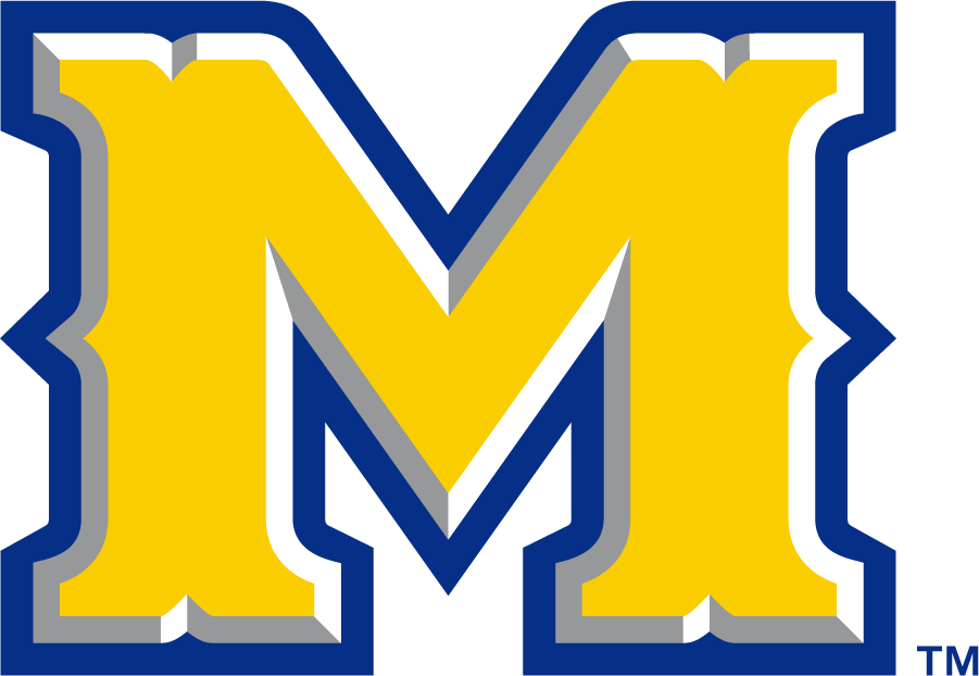 McNeese State Cowboys 2011-Pres Secondary Logo diy DTF decal sticker